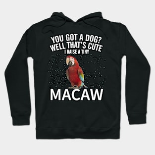 Macaw Hoodie